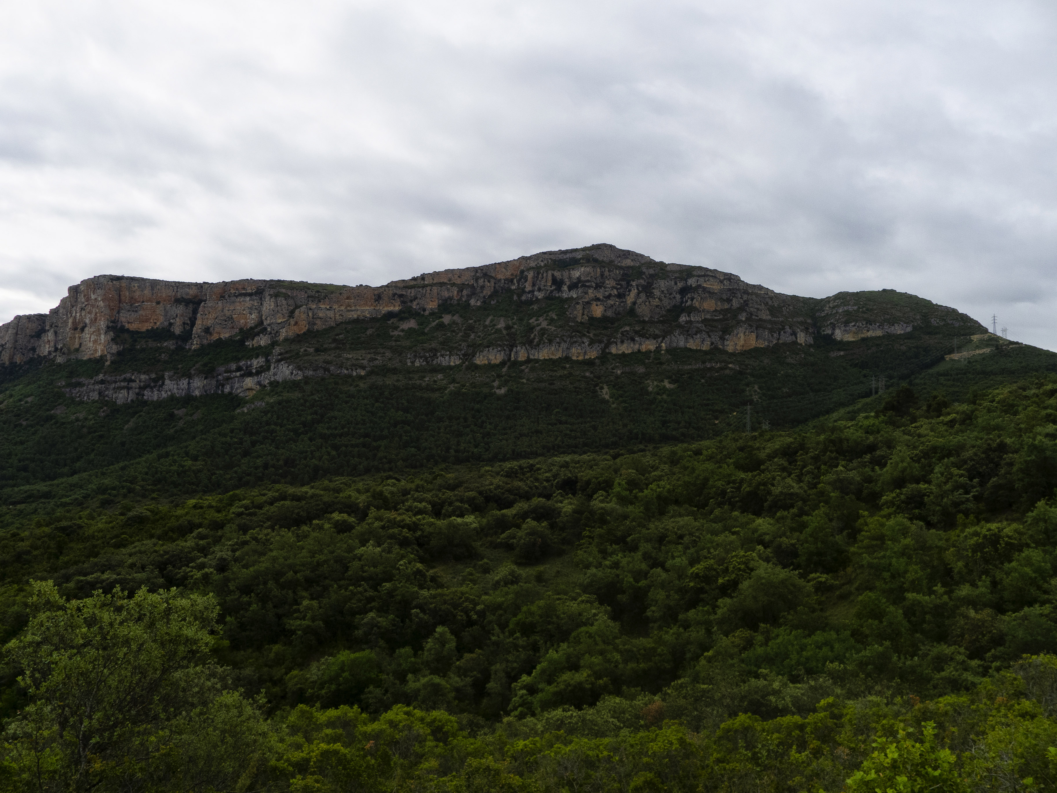 Travesía por la selva y la niebla de la Serra Carbonera
