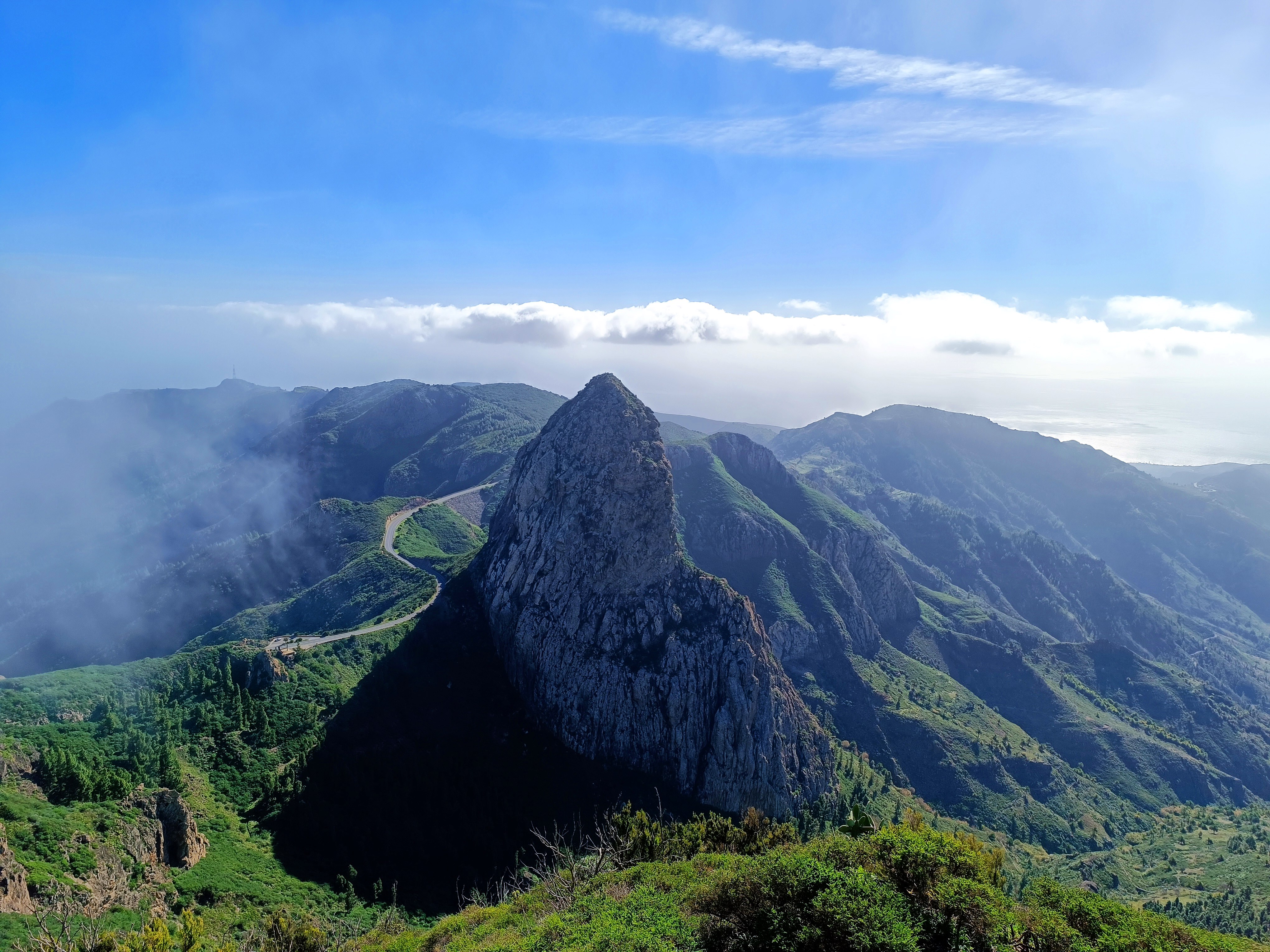 Recorriendo la selva gomera