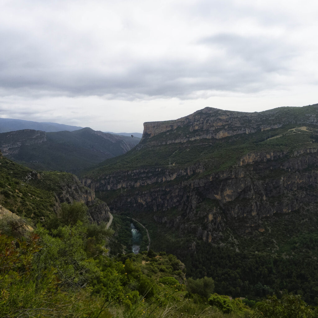 Travesía por la selva y la niebla de la Serra Carbonera