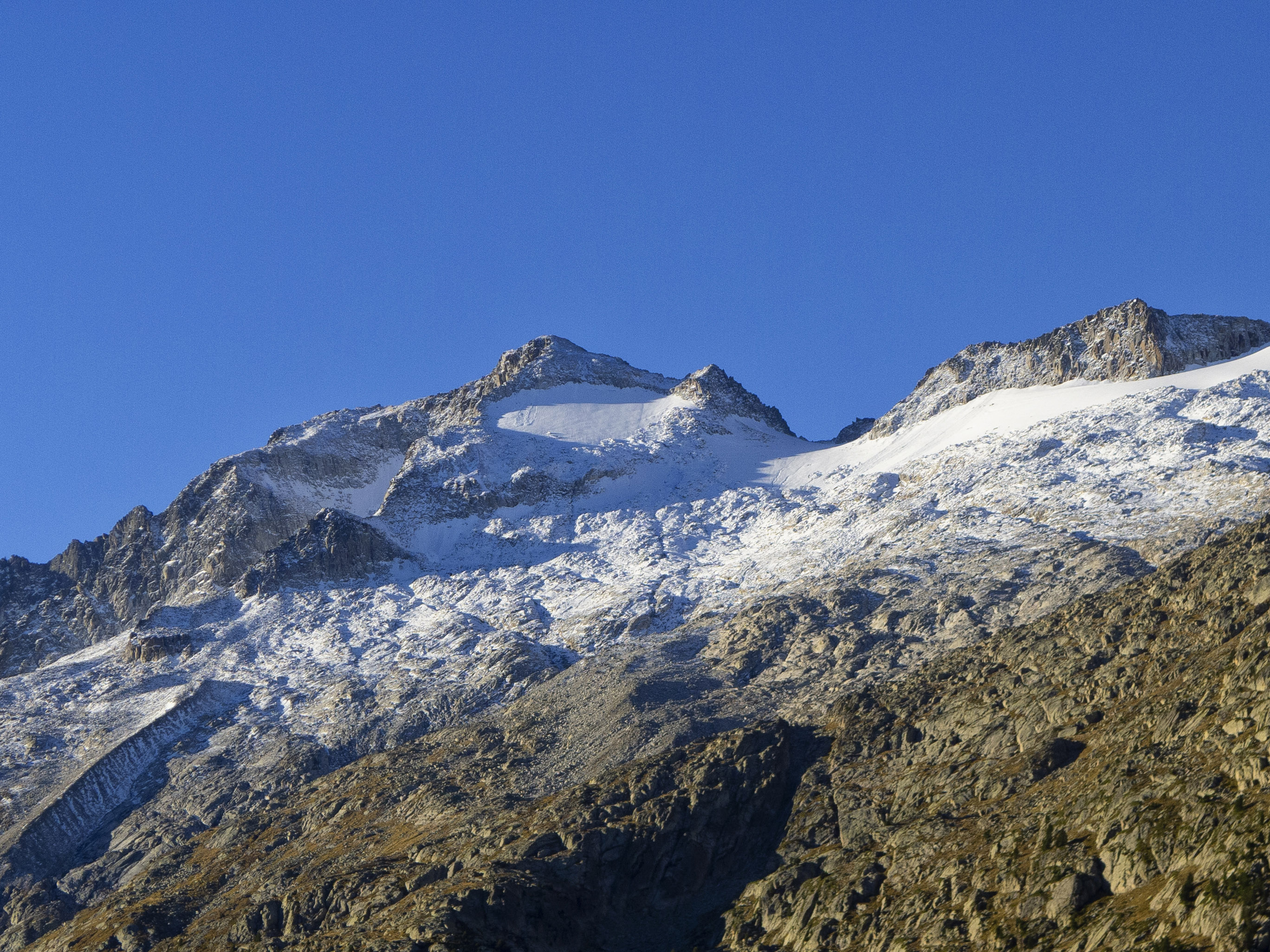 El monarca de los Pirineos