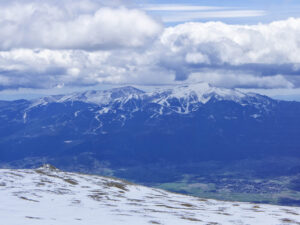 Los dóciles gigantes del Coll de Pal