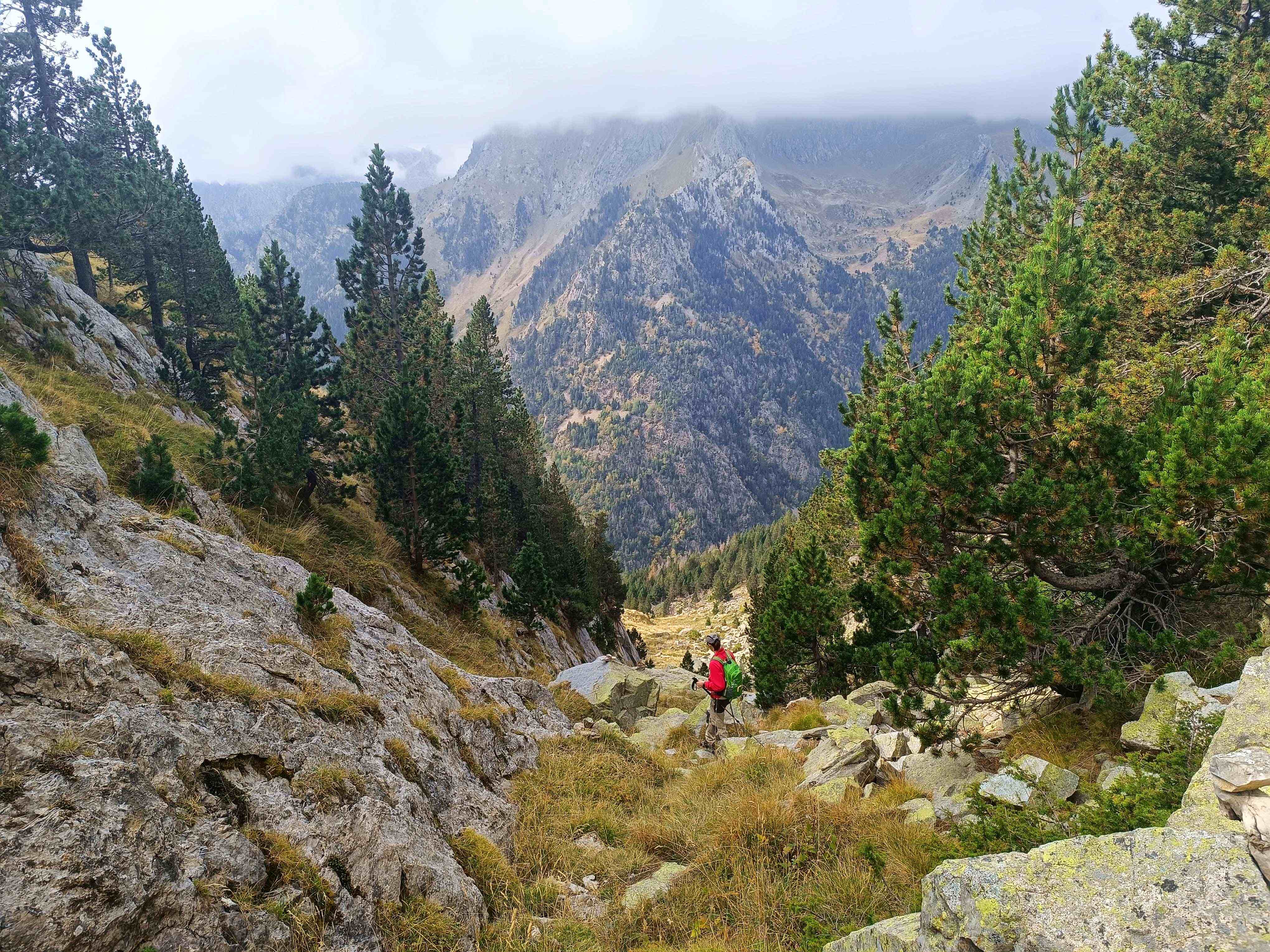 Llegamos a un último estrechamiento de la canal, con el bosque ganando cada vez más presencia.