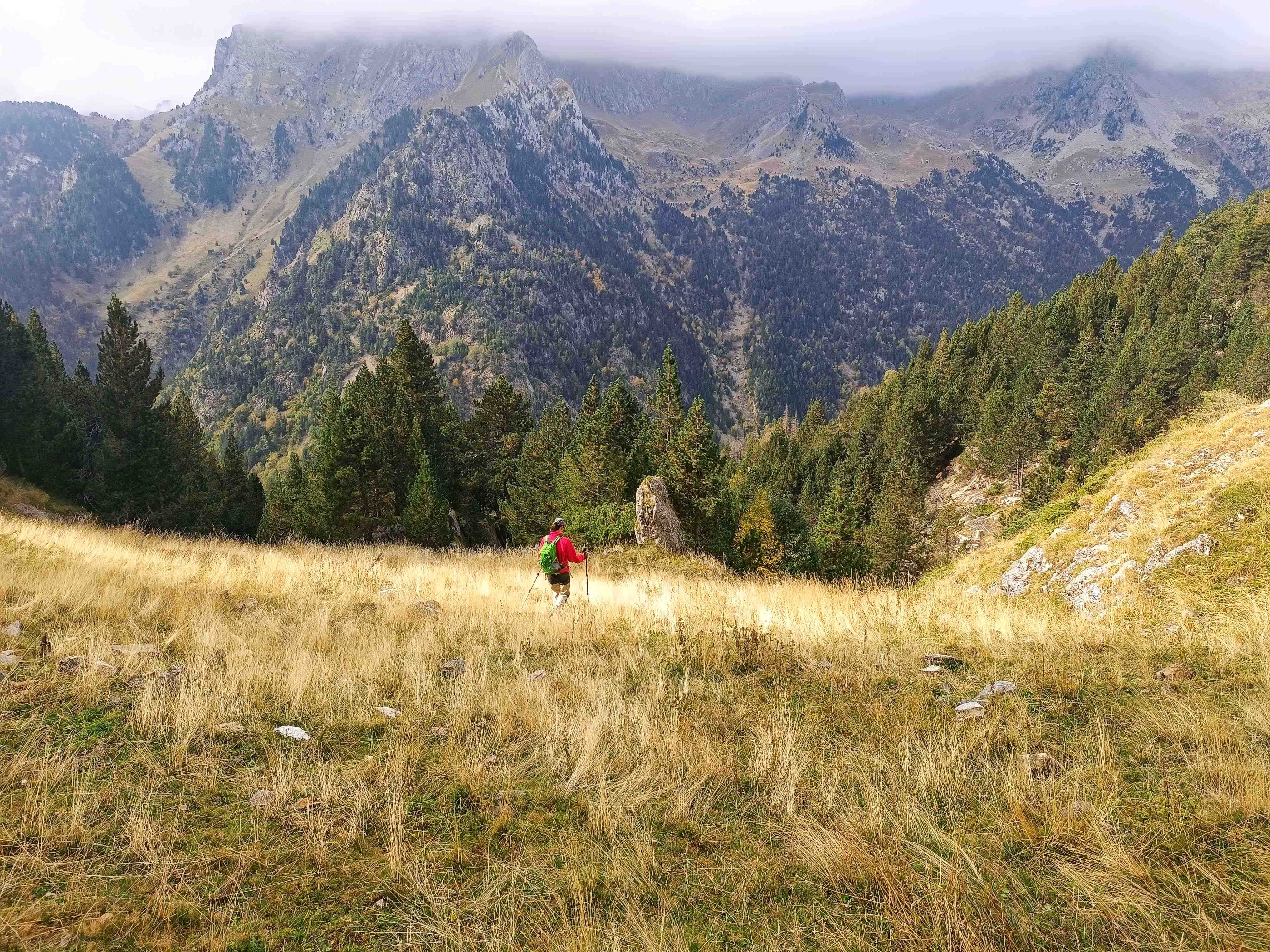 Siguiendo ahora un tenue sendero, atravesamos un último prado para entrar en el bosque que cubre la parte baja de la canal de Comalaqueba.