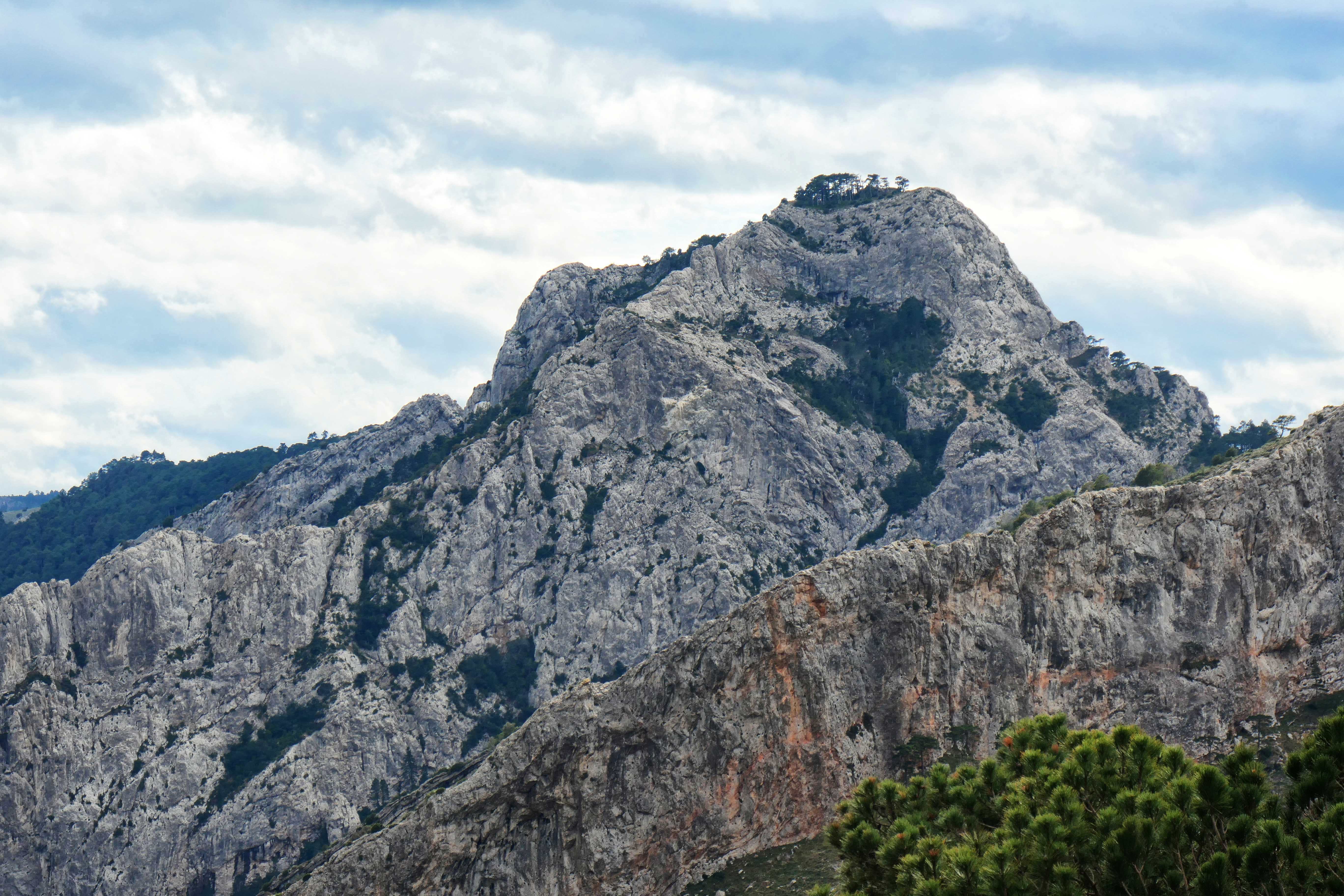 La torre de marfil de los Ports