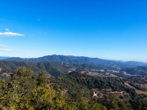 La frondosa culminación de la Litoral