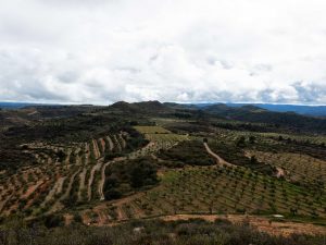 En la frontera de la Plana de Lleida