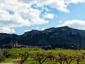 El emblema de Tivissa
