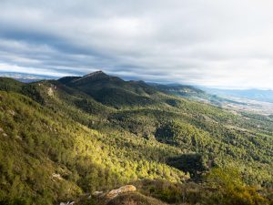 Mirando al Mediterráneo desde Miramar