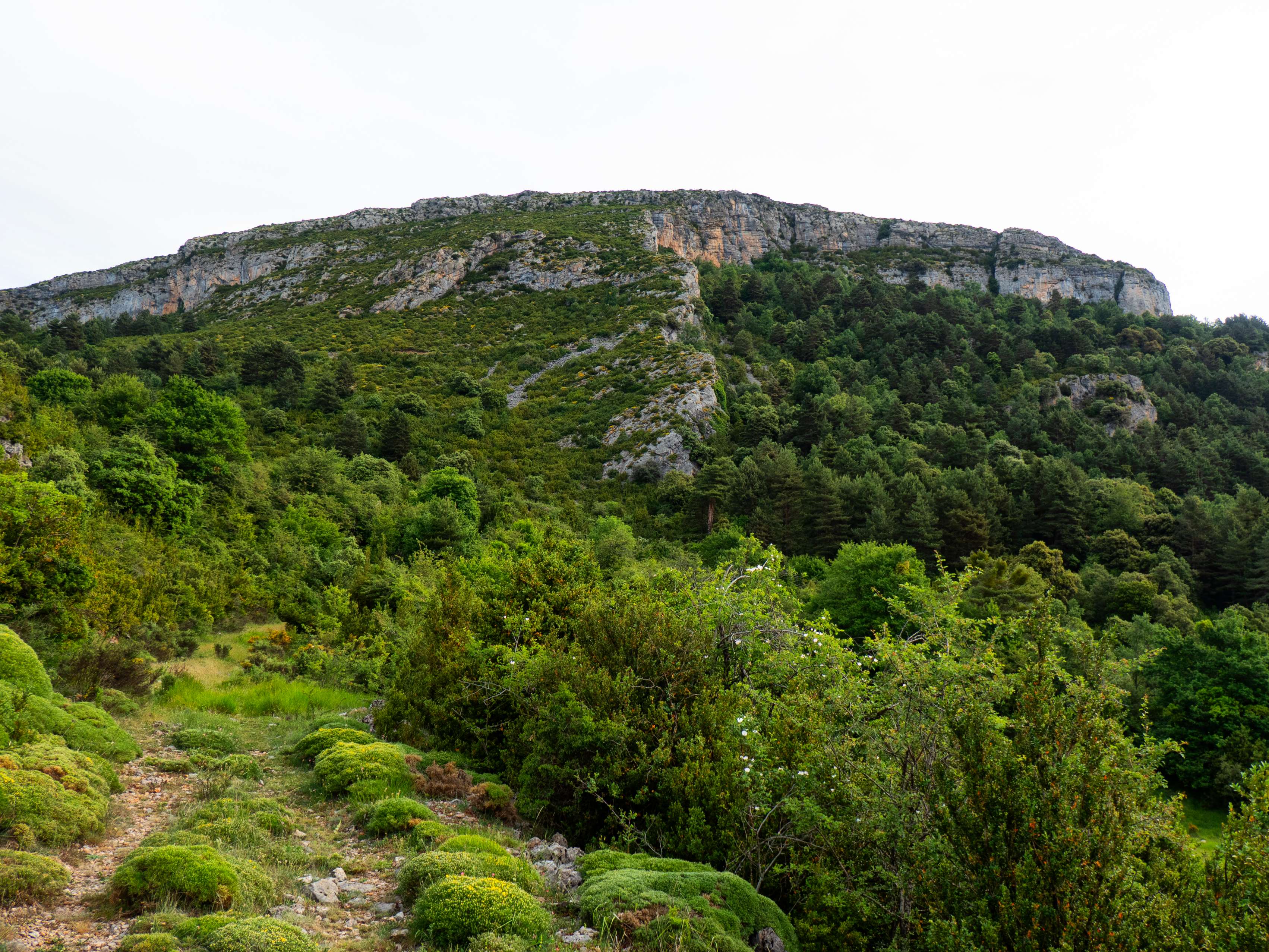 El camino se acerca a un gran resalte, que protege los prados de la parte intermedia de la Sierra de las Sucas y que debemos superar por la derecha.