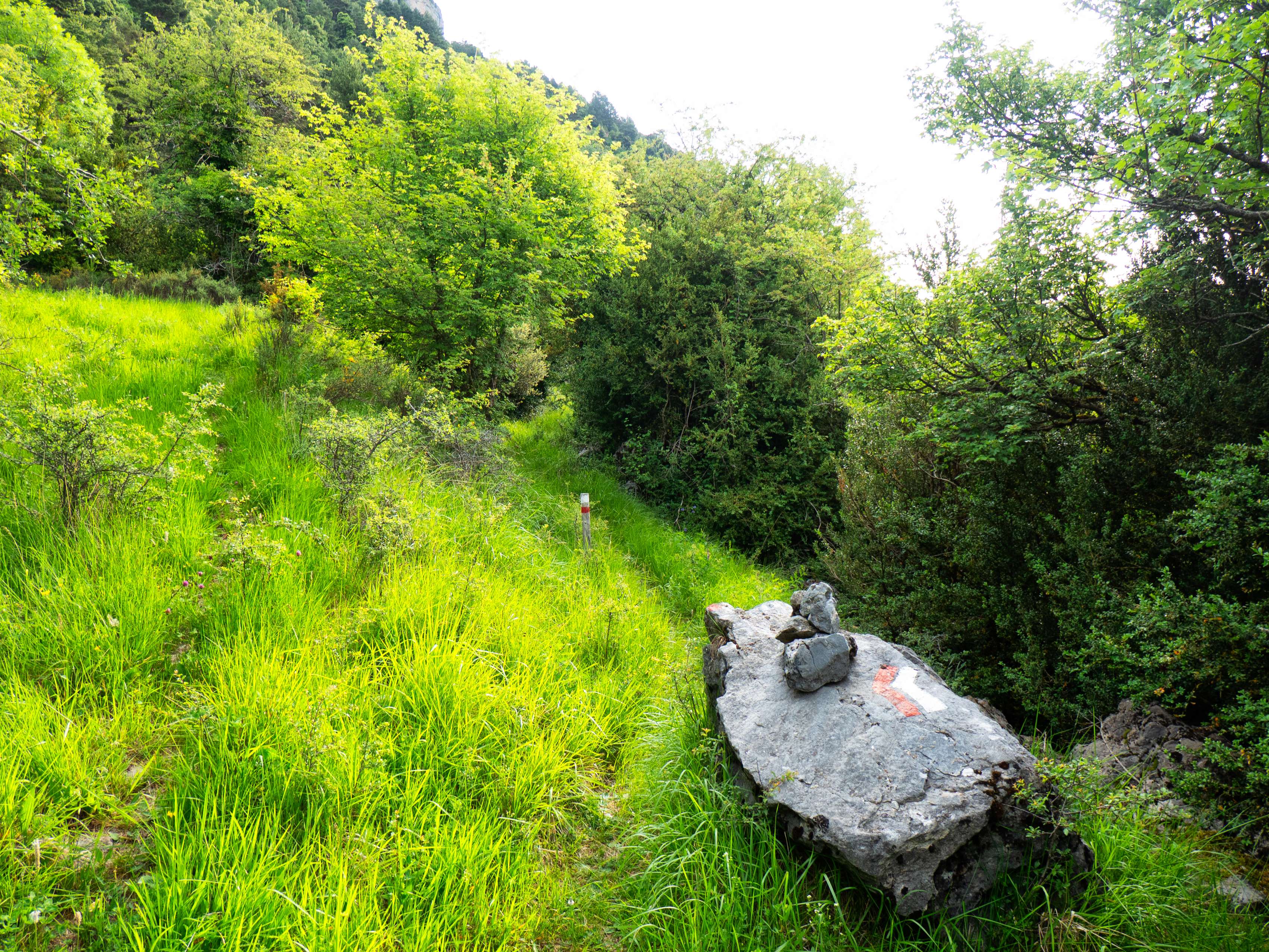 Al llegar a la base de este muro, el camino se estrecha y gira a la derecha, entrando en un terreno de bastante vegetación que el sendero compensa con una mayor señalización.