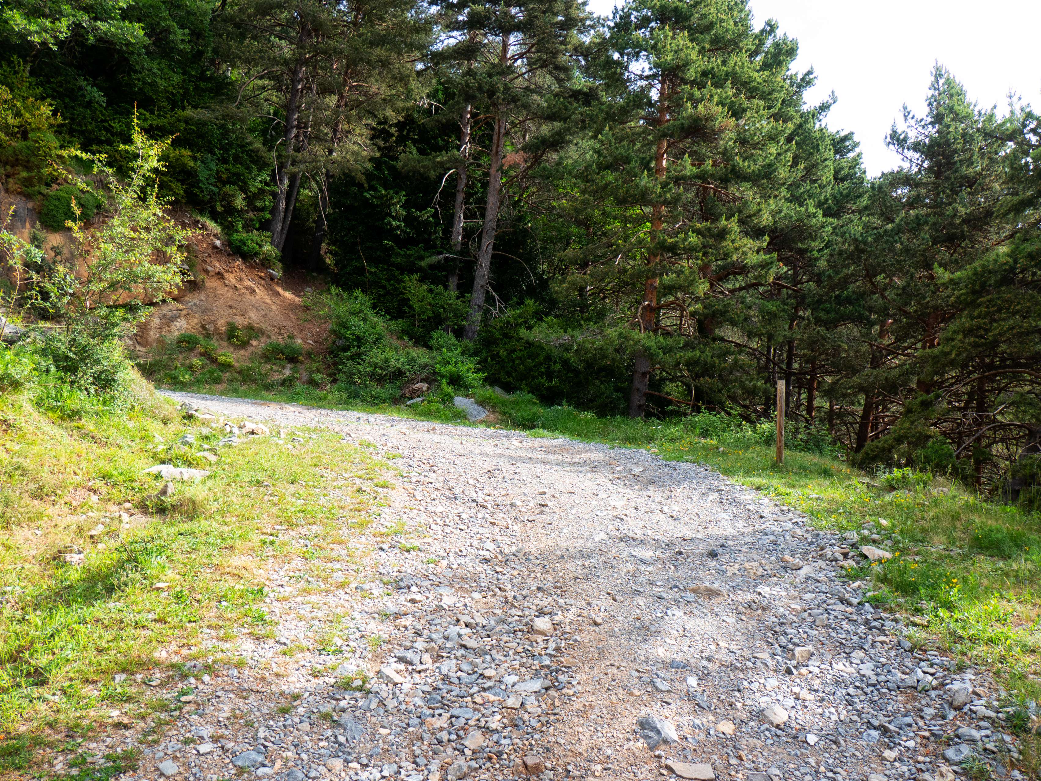 Después de una fuerte subida por el bosque, nos reencontramos con la pista, que, mediante una serie de zigzags, supera el resalte para entrar en los planos superiores.