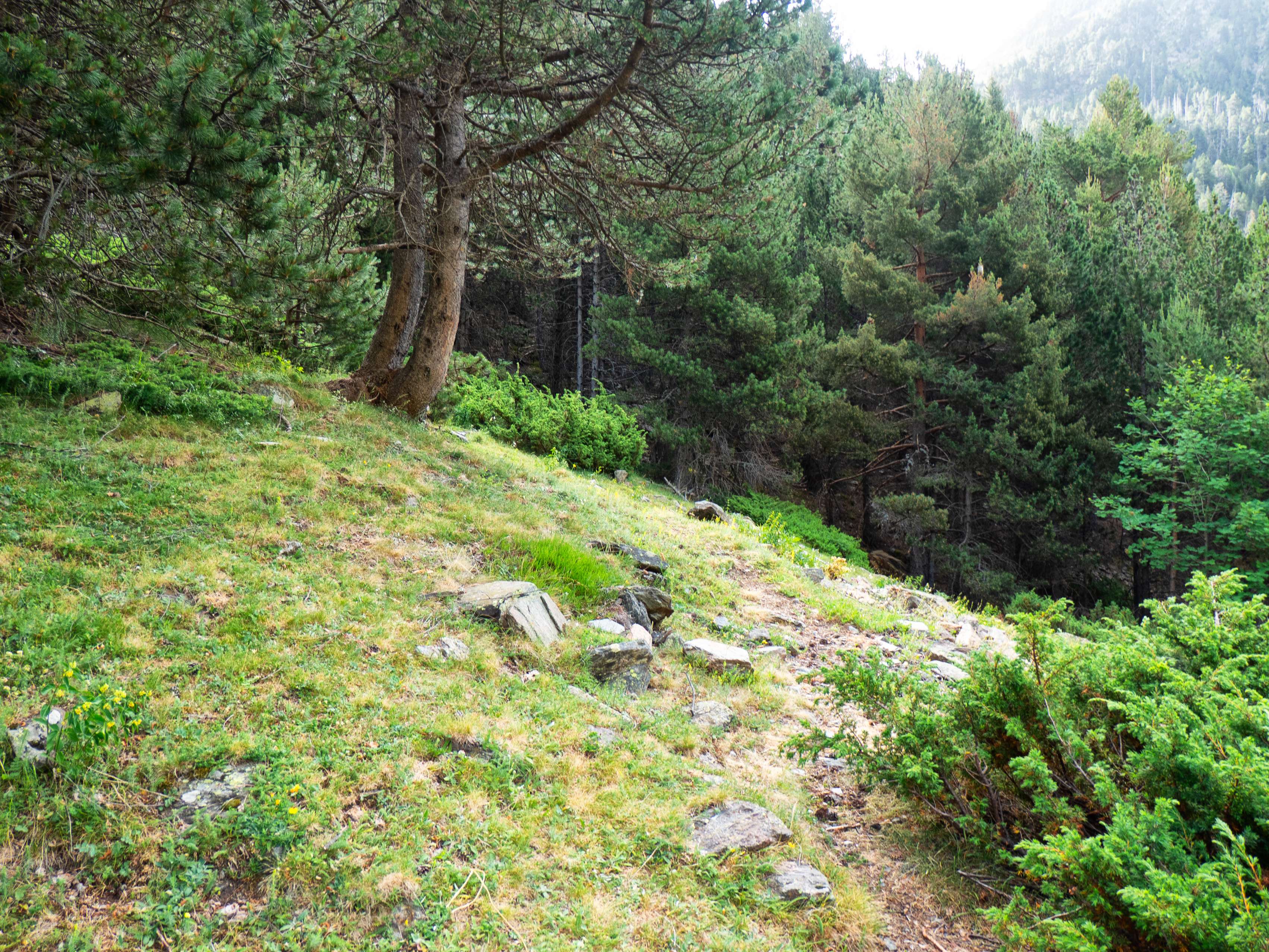 El tramo inicial de al excursión no da tregua. Debemos salvar más de 400 desnivel en poco más de un kilómetro, al principio por terreno inestable, debido a las obras del paraaludes; después, por terreno despejado y, finalmente...