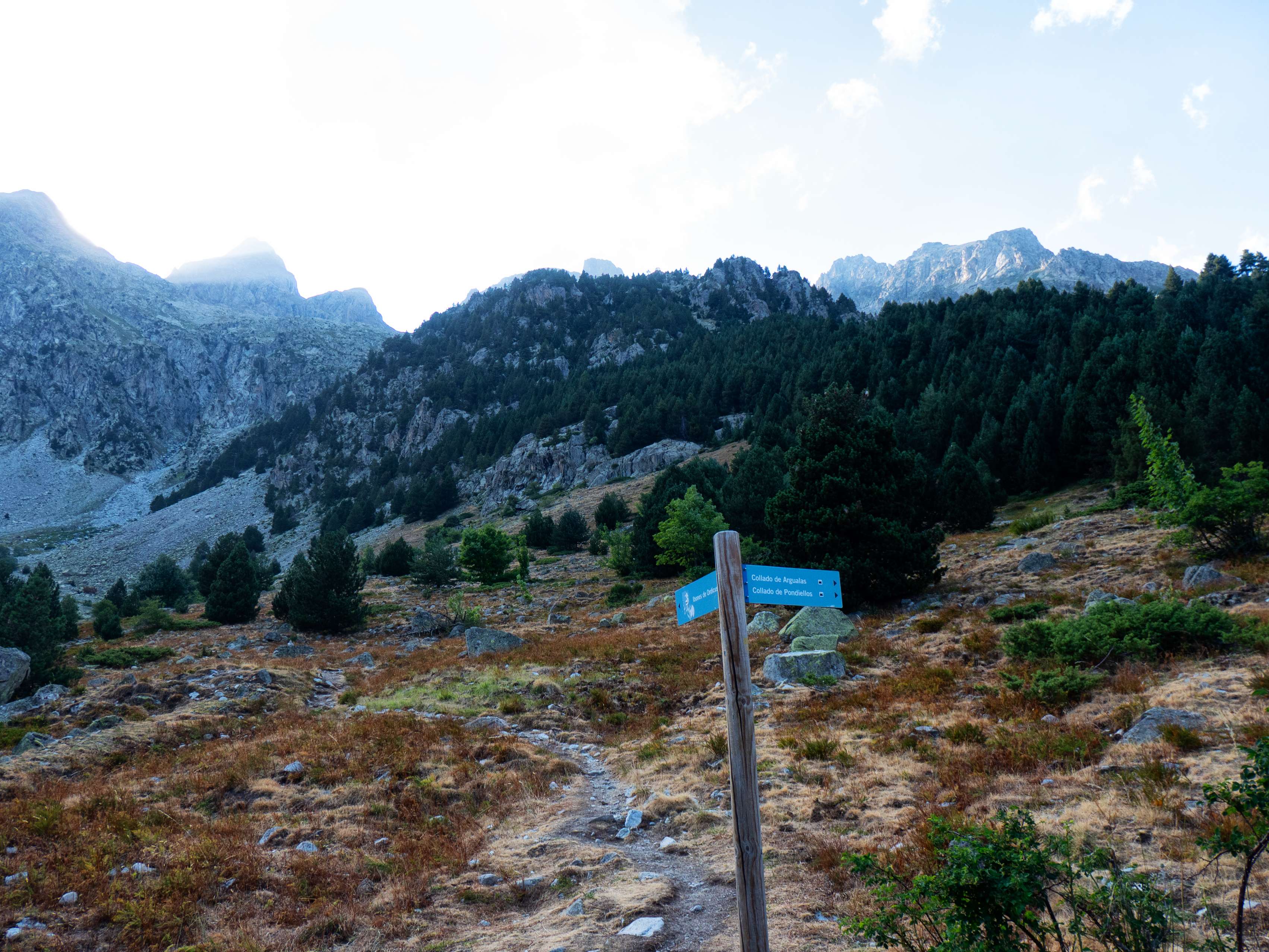 Después de ganar algo más de 200 metros de desnivel, llegamos al extenso pastizal de la Mallata Baja, donde el sendero se bifurca. A la izquierda, el camino a los Ibones de Ordicuso, a la derecha, el sendero que nos interesa, pues va a los collados de Argualas y de Pondiellos, previo paso por...