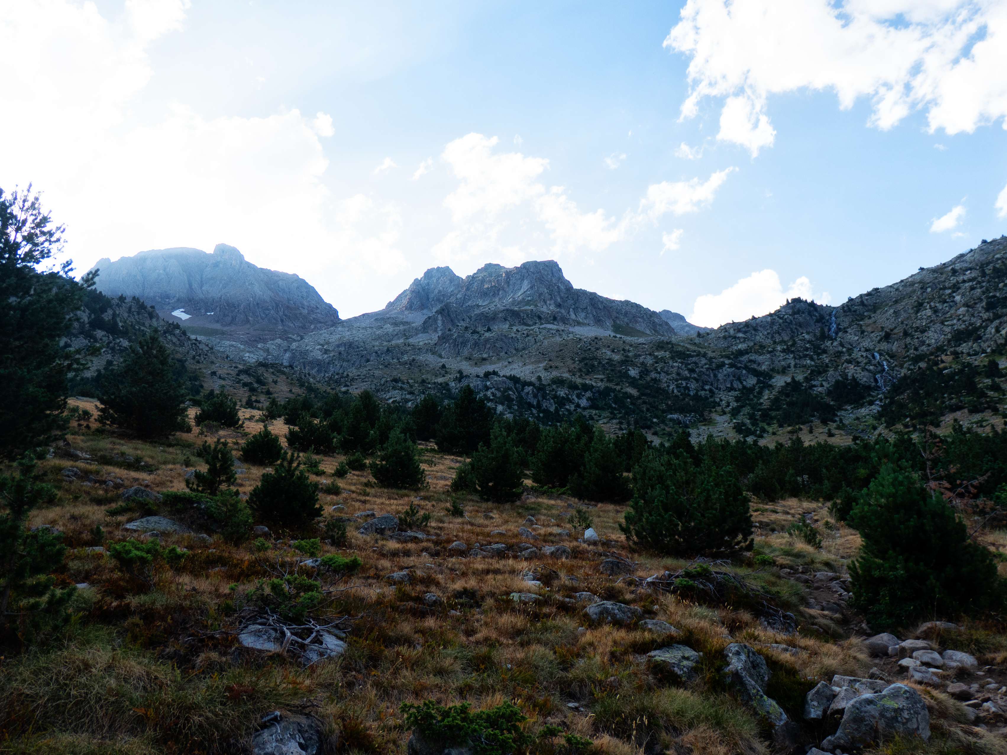 ...la Mallata Alta, una pradera inclinada salpicada de abetos por la que debemos remontar otros 200 metros más de desnivel por cómodo sendero.