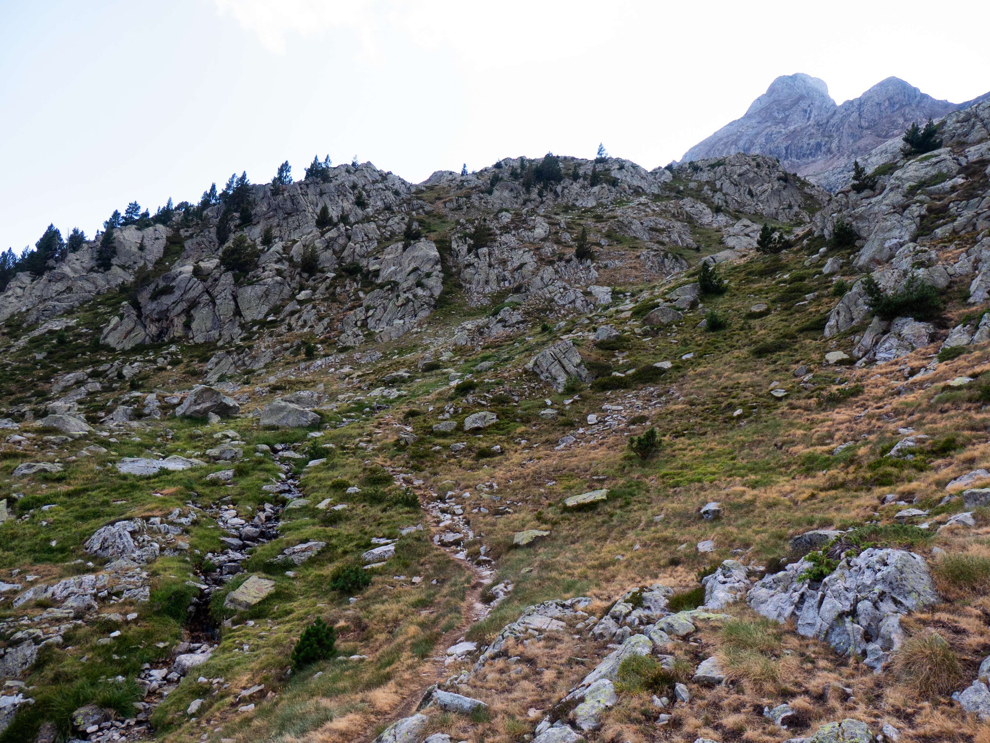 Después de atravesar un tramo más pedregoso, vamos quedando a la altura de la Peña de la Mallata Alta, el modesto promontorio que delimita por la izquierda este pastizal. En ese punto nos desviamos del sendero principal, que sigue recto, y tomamos un camino secundario que avanza junto a un riachuelo hasta que llegamos...